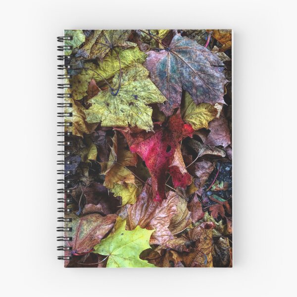 Item preview, Autuminal Delight designed and sold by Photography & Emotive Ai.