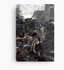 Dogs Dogs Dogs Metal Print