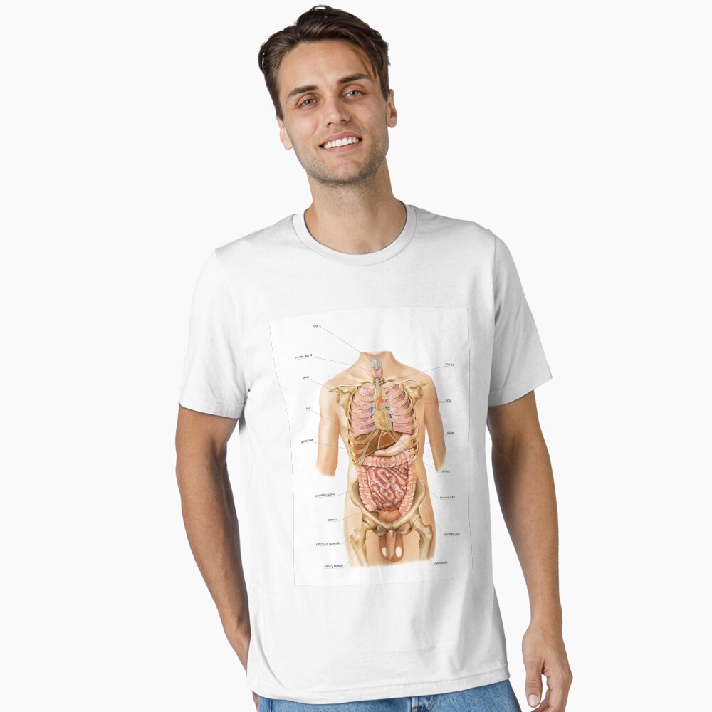 External projection of internal organs (C020/0227) Poster