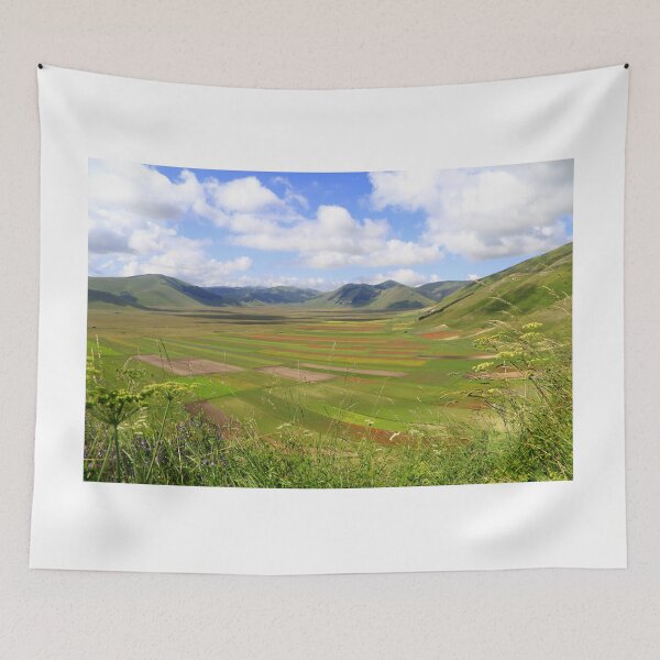 Item preview, The flowering of Castelluccio di Norcia designed and sold by annalisa56.