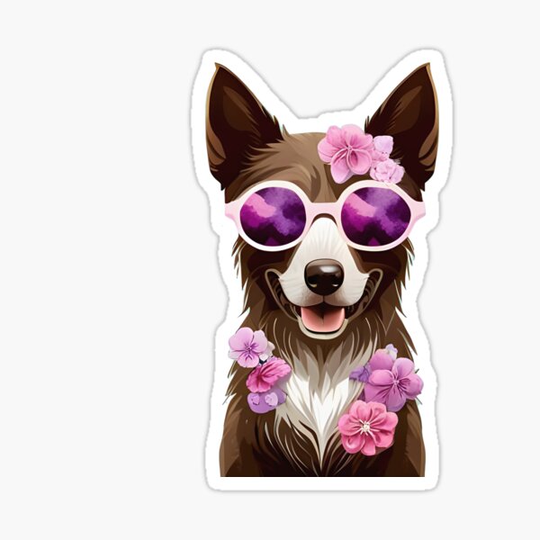 Cute Border Collie wearing sunglasses Sticker