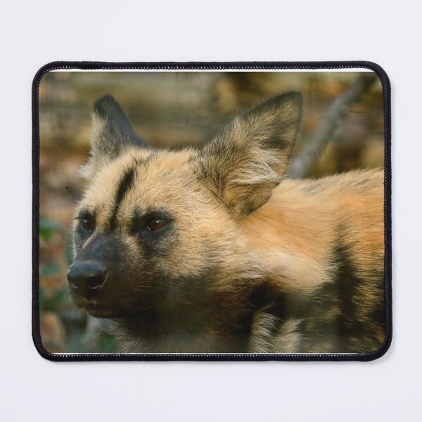 Item preview, wilddog designed and sold by Kinseyphotos.