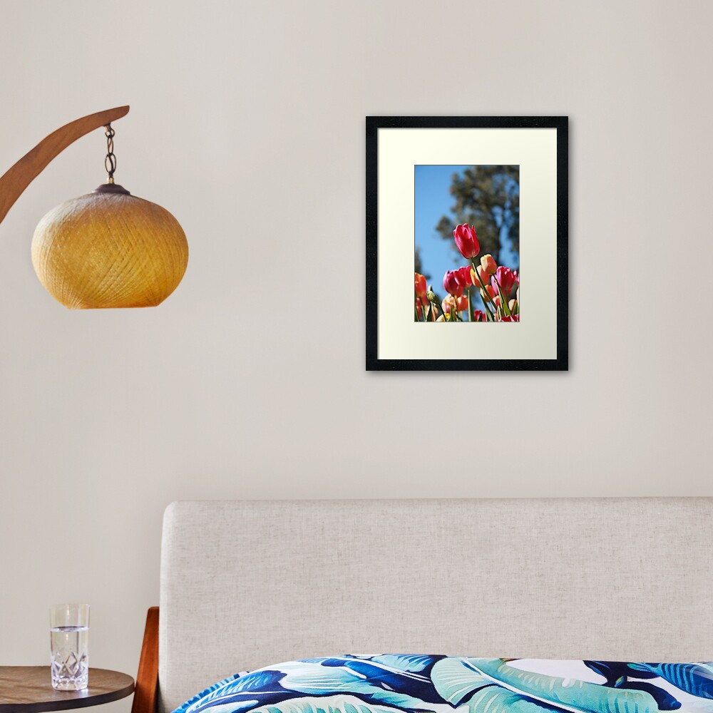 Tulips and Araluen Framed Art Print