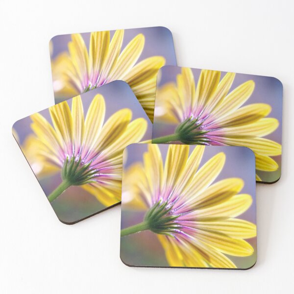 Item preview, The Yellow African Daisy designed and sold by JonnaHurmerinta.