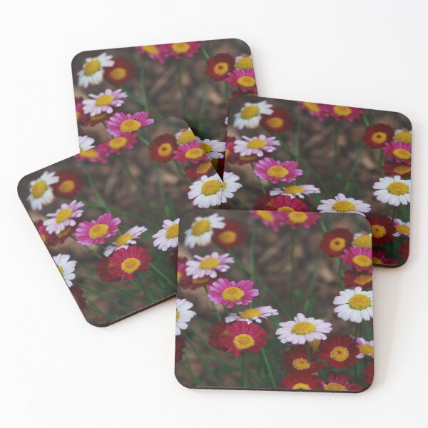 Item preview, Vintage Daisies  designed and sold by cottagephoto.