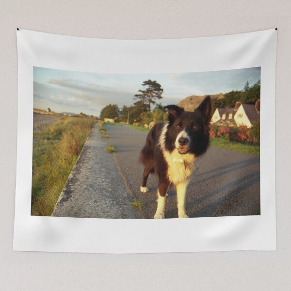 Item preview, Memories. designed and sold by Michael Haslam.