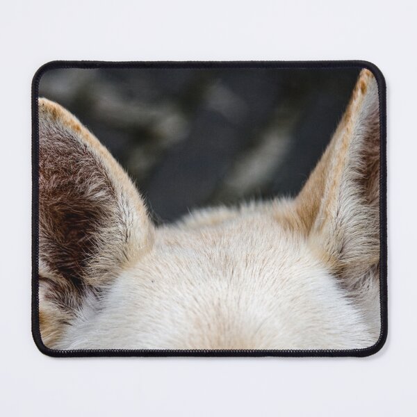Item preview, Pricked Up Dog Ears designed and sold by StephenPower.