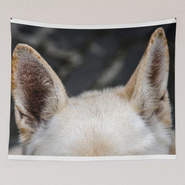 Item preview, Pricked Up Dog Ears  designed and sold by StephenPower.