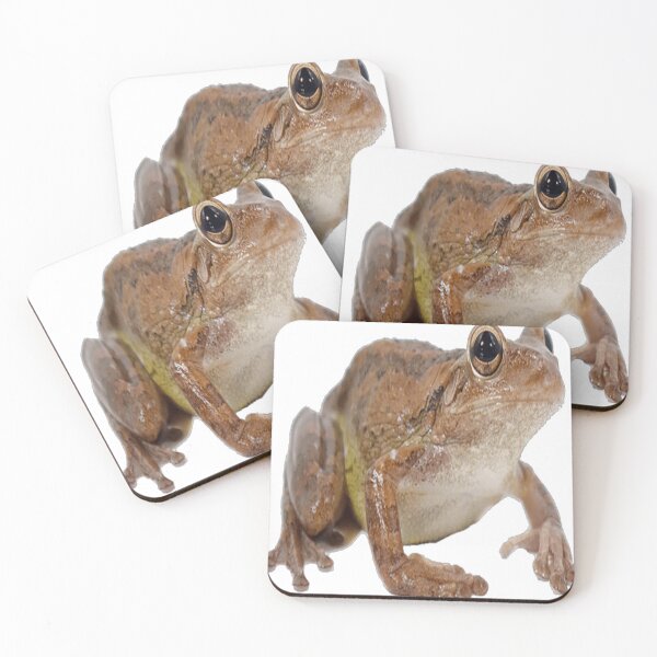 Item preview, Brown bellied toad with eyes wide designed and sold by CaidenHull47.
