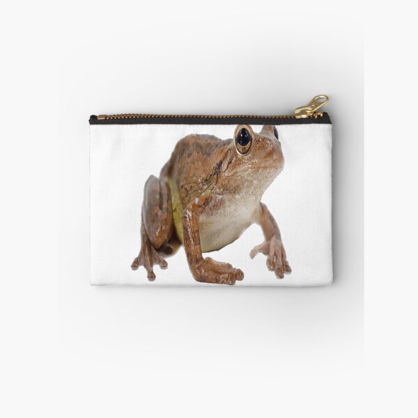 Item preview, Brown bellied toad with eyes wide designed and sold by CaidenHull47.