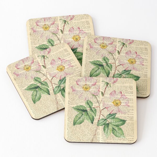 Item preview, Botanical print, on old book page - dogrose designed and sold by Art by Lilia.