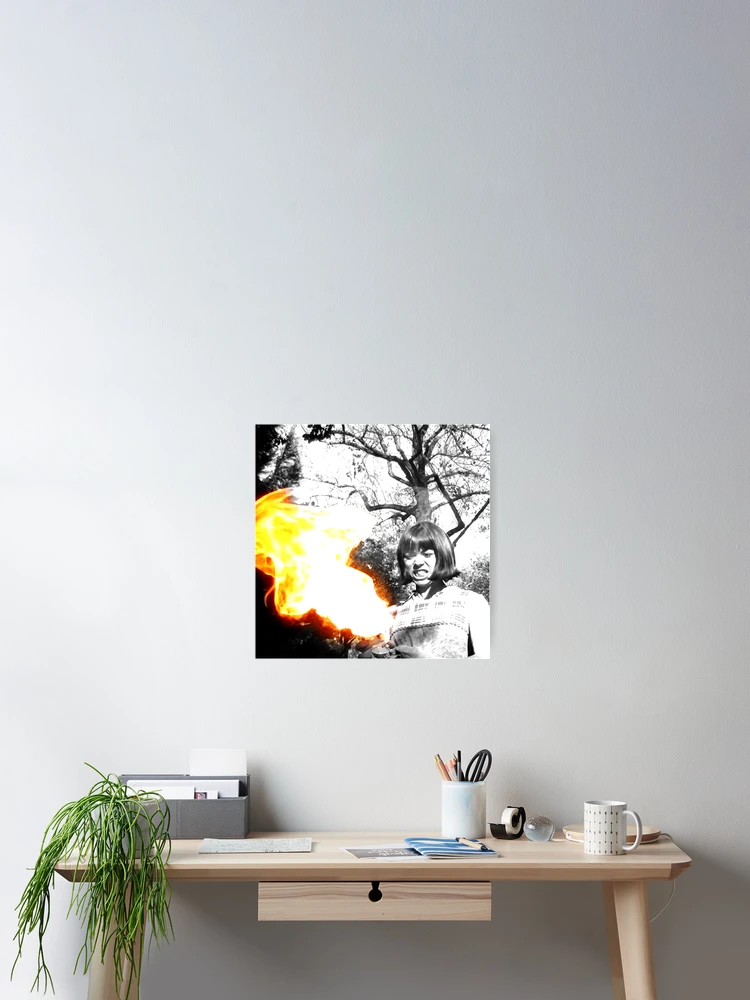 cposter,small,product,750x1000
