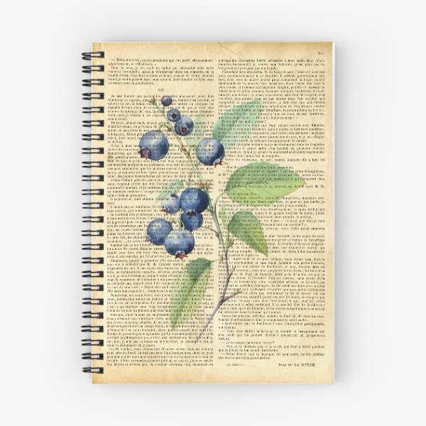 Item preview, Botanical print, on old book page - blueberry designed and sold by Art by Lilia.