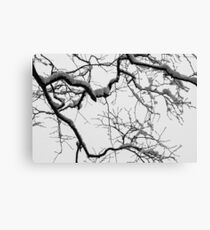 Tracery Canvas Print