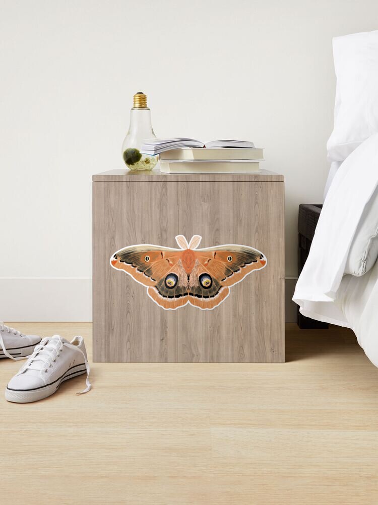 Polyphemus Moth Sticker — Andrea Dingeldein