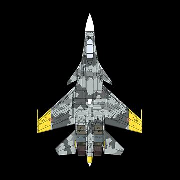 Su-37 Super Flanker, Acepedia