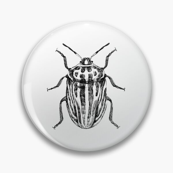 Item preview, Graphosoma Beetle Insect Illustration designed and sold by Habiba Hasan.