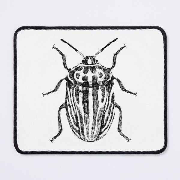 Item preview, Graphosoma Beetle Insect Illustration designed and sold by Habiba Hasan.