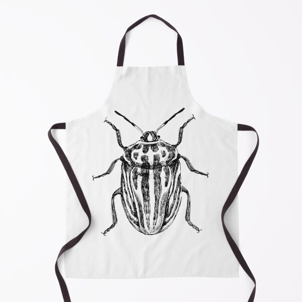 Item preview, Graphosoma Beetle Insect Illustration designed and sold by Habiba Hasan.