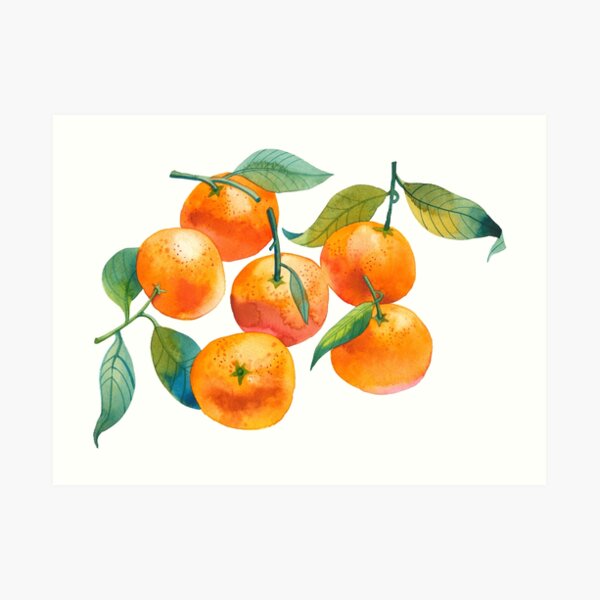 Mandarins Art Print