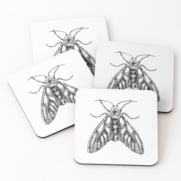 Item preview, Tiger Moth Skeleton Insect Illustration designed and sold by Habiba Hasan.