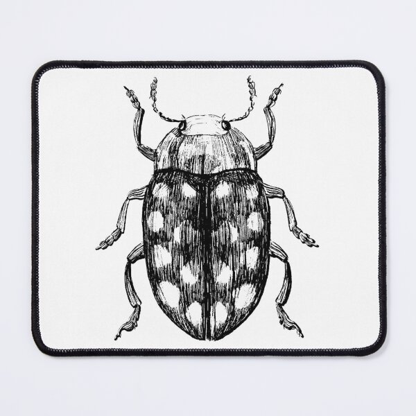 Item preview, Pleasing Fungus Beetle Insect Illustration designed and sold by Habiba Hasan.