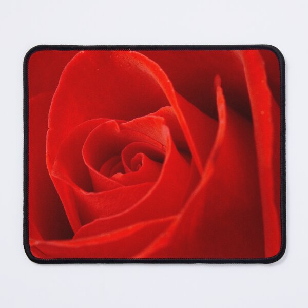 Item preview, Red rose close-up designed and sold by bailey-cooper.