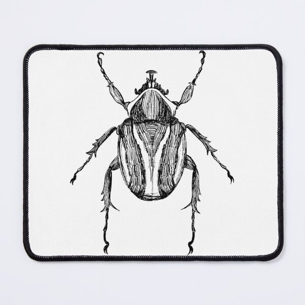 Item preview, Striped Scarab Beetle Insect Illustration designed and sold by Habiba Hasan.