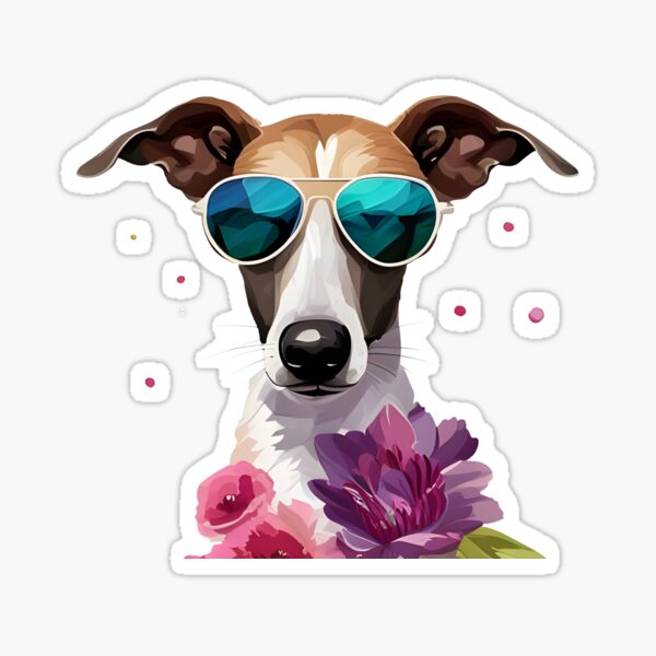 Cool Whippet wearing sunglasses Sticker