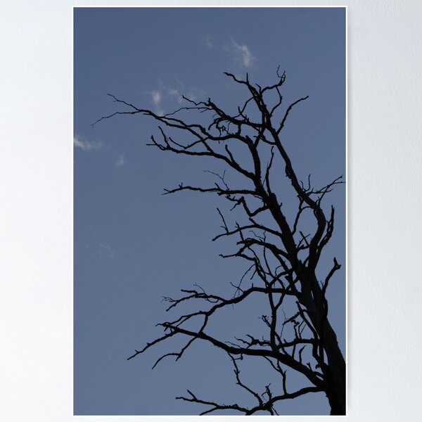 Artikelvorschau, Holding the Last Clouds entworfen und verkauft von Danya Rose.