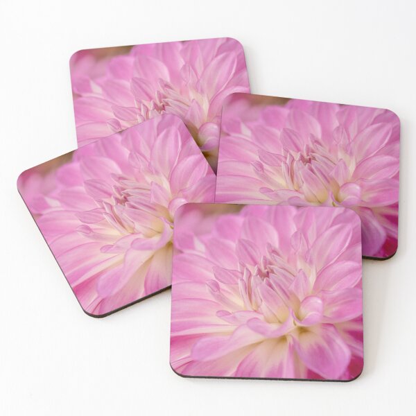 Item preview, Close-up of a pale pink dahlia flower. designed and sold by bailey-cooper.
