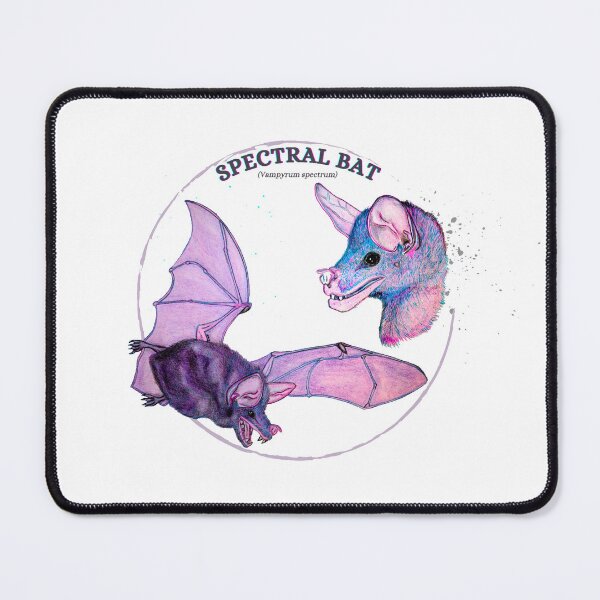 Item preview, Spectral bat information (white edition) - wildlife species conservation designed and sold by DaniOpossum95.