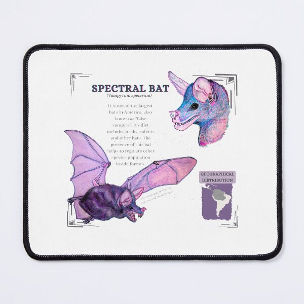 Item preview, Spectral bat information - wildlife species conservation designed and sold by DaniOpossum95.