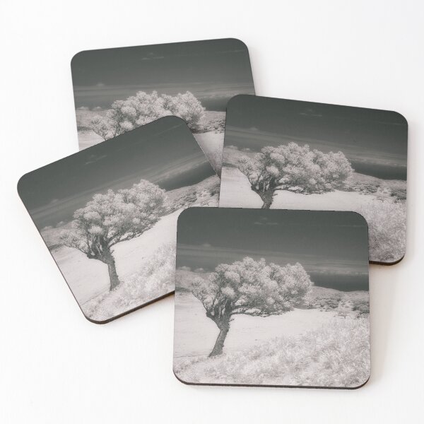 Item preview, A Infrared image of a lone tree in Fanal, Madeira designed and sold by NancyKHajjar.