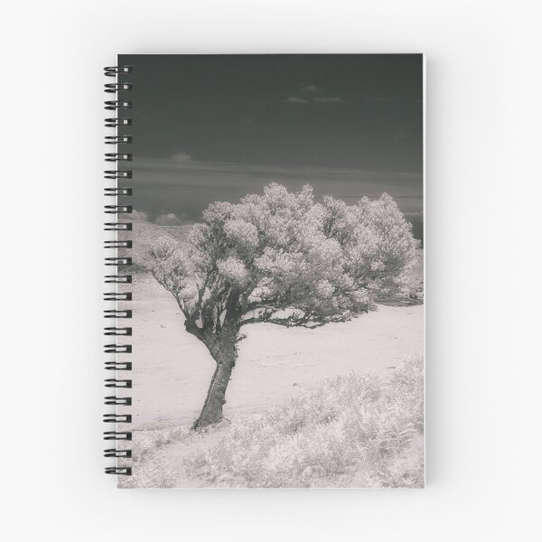 Item preview, A Infrared image of a lone tree in Fanal, Madeira designed and sold by NancyKHajjar.