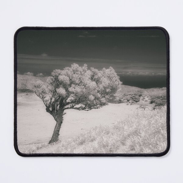 Item preview, A Infrared image of a lone tree in Fanal, Madeira designed and sold by NancyKHajjar.