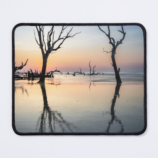 Item preview, The Boneyard 23/9 designed and sold by DiFigianoPhoto.