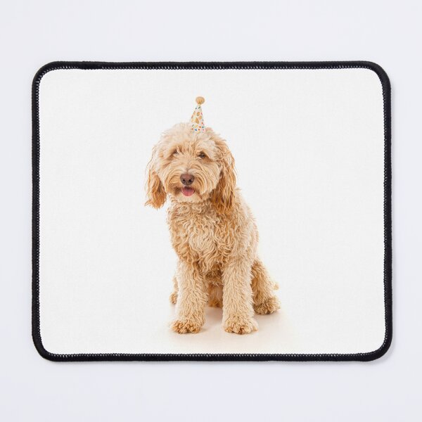 Item preview, Cockapoo dog wearing a small cone-shaped party hat designed and sold by bailey-cooper.