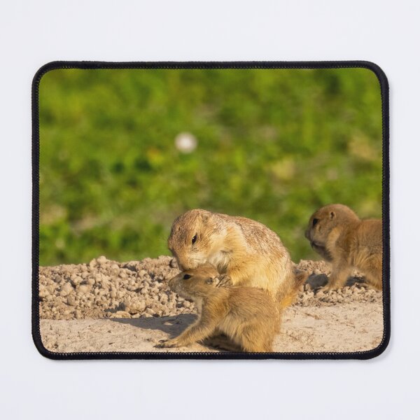 Item preview, A Family Moment - Prairie Dogs designed and sold by TinyDinoDesigns.