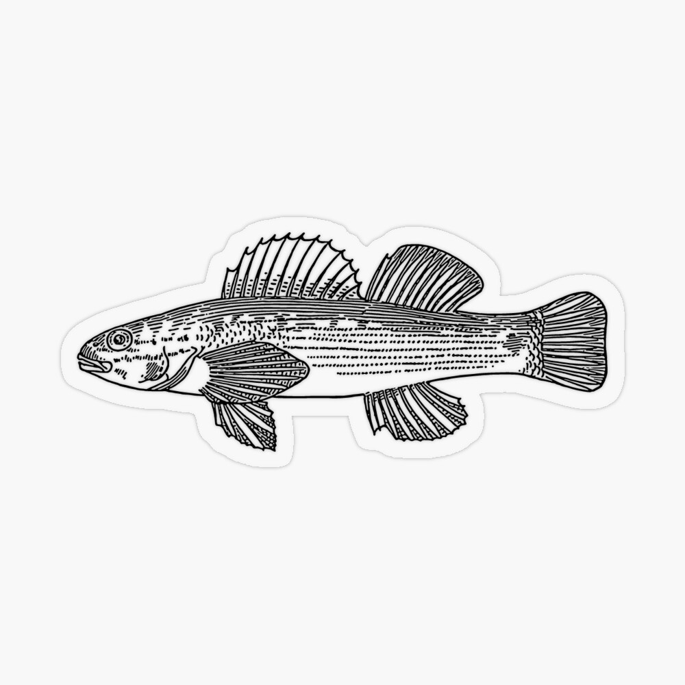 Fish Stickers Tribal Art The Saltwater Edge