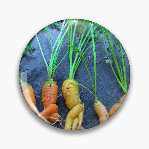 Item preview, Wonky Carrots designed and sold by Violaman.