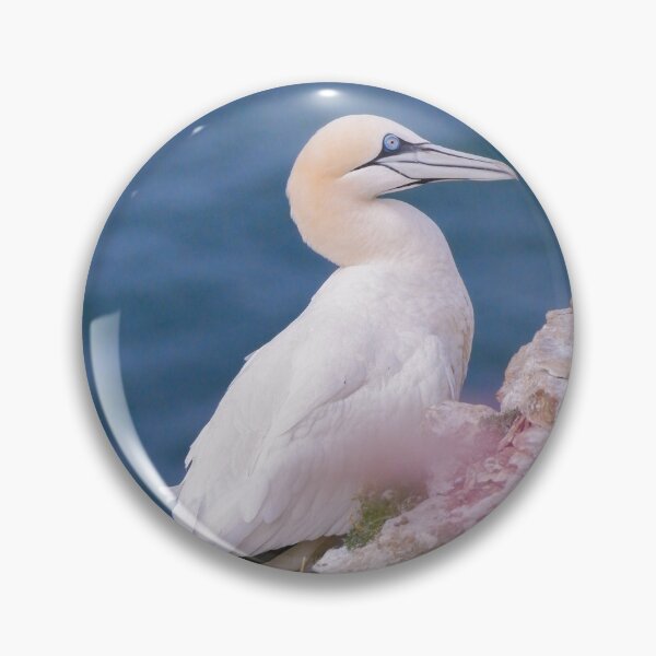 Item preview, Gannet designed and sold by photobytableau.