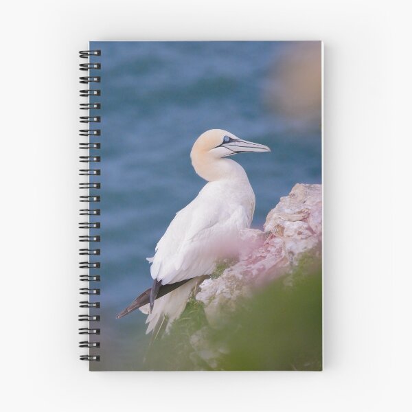 Item preview, Gannet designed and sold by photobytableau.