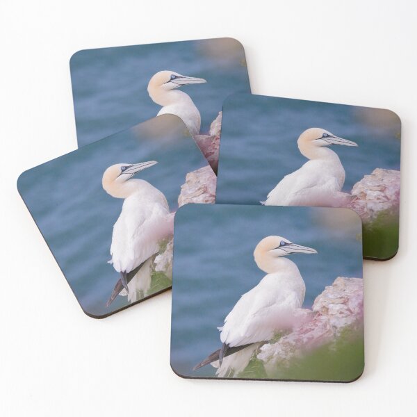Item preview, Gannet designed and sold by photobytableau.