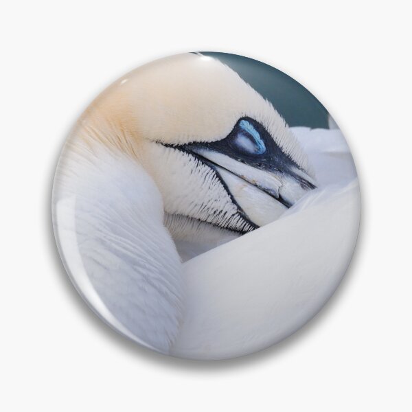 Item preview, Northern Gannet designed and sold by photobytableau.