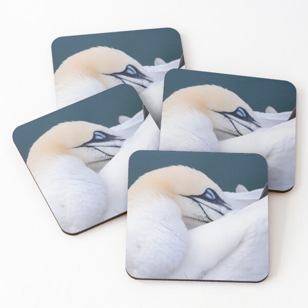 Item preview, Northern Gannet designed and sold by photobytableau.