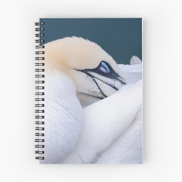 Item preview, Northern Gannet designed and sold by photobytableau.