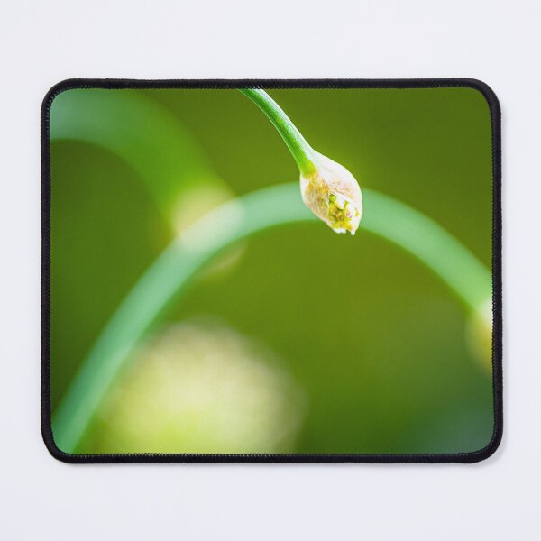 Item preview, Allium Arches designed and sold by metriognome.