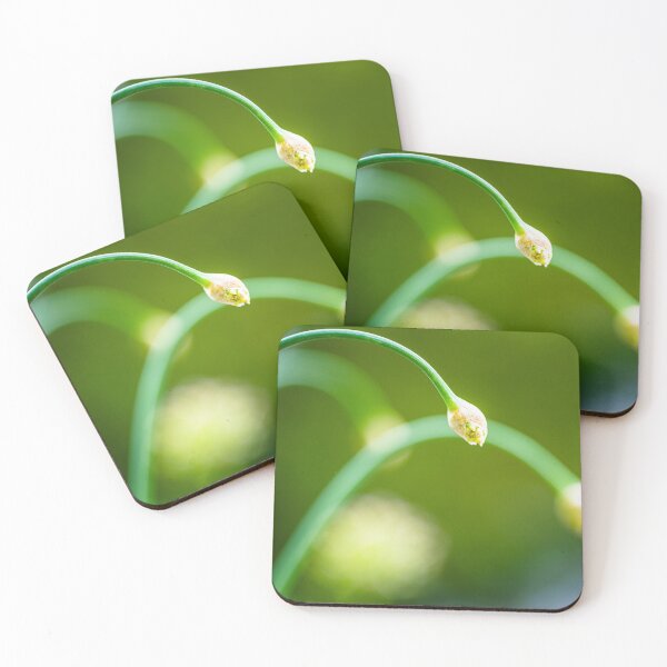 Item preview, Allium Arches designed and sold by metriognome.