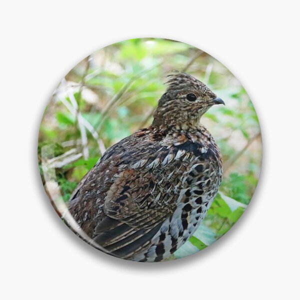 Item preview, Ruffed Grouse In The Woods designed and sold by Deb Oppermann.